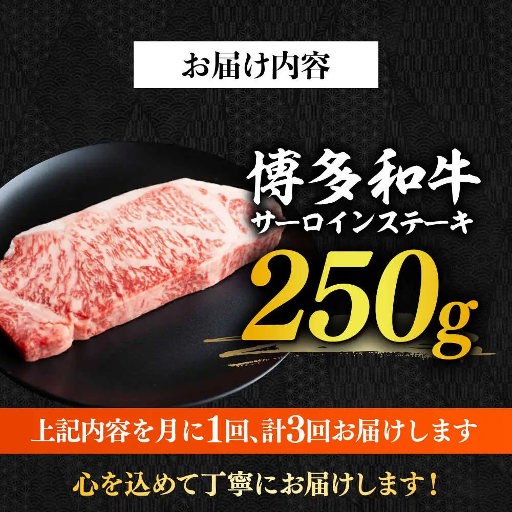 サーロイン 【全3回定期便】 博多和牛A4以上サーロインステーキ250g×1枚 [ABBP045] サーロイン