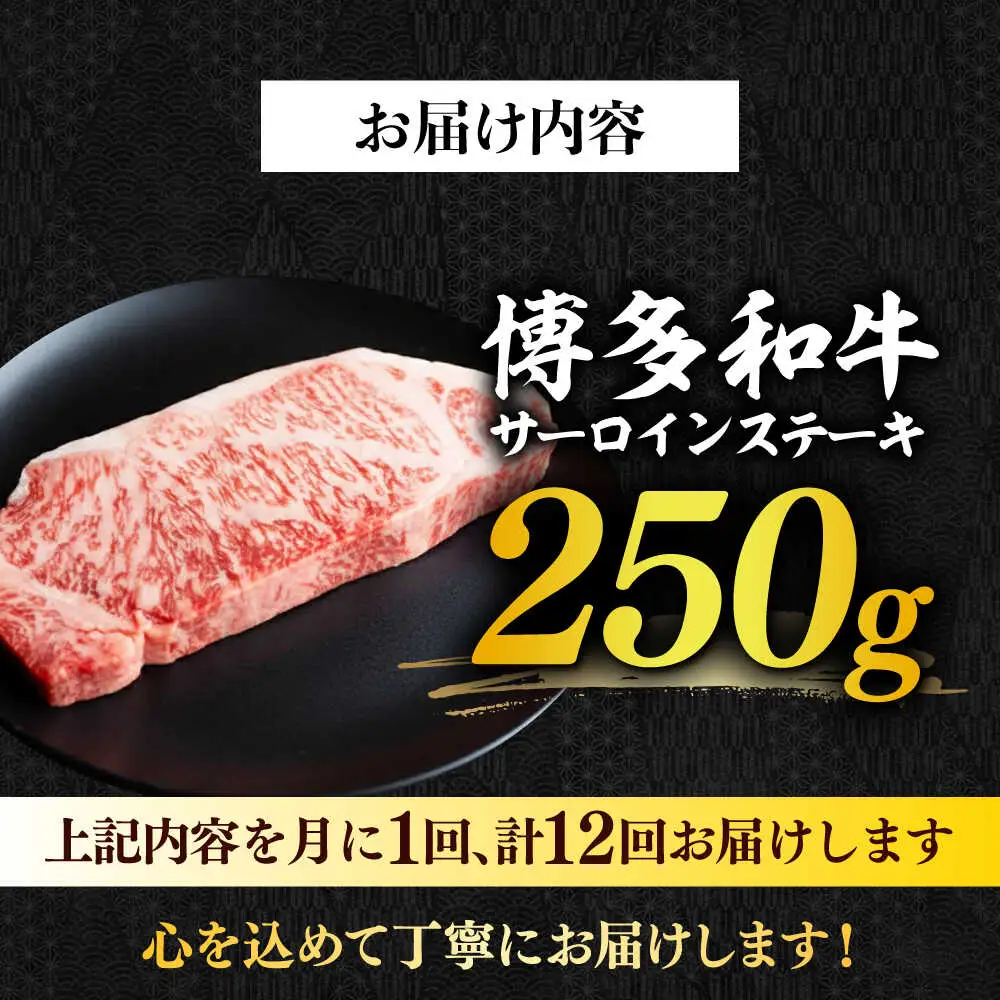 サーロイン 【全12回定期便】 博多和牛A4以上サーロインステーキ250g×1枚 [ABBP047] サーロイン
