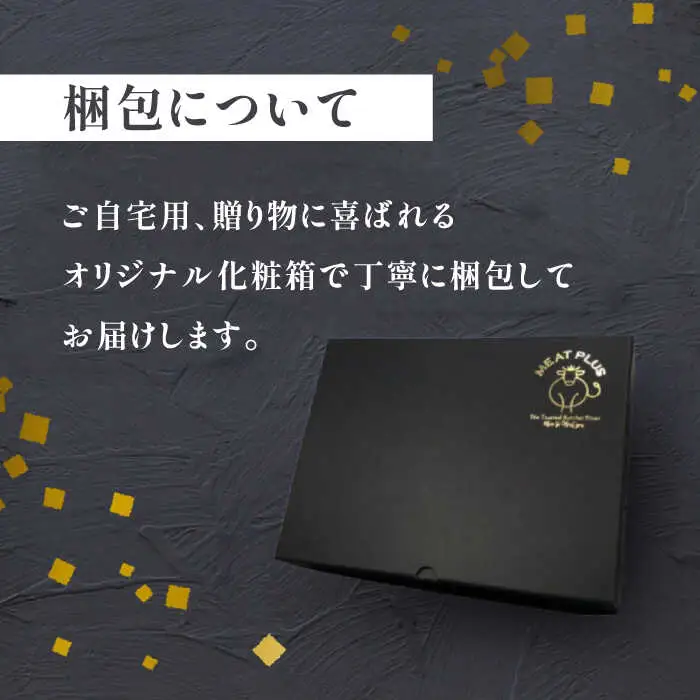 ハンバーグ 博多和牛 ハンバーグ 10個 [ABBP057] ハンバーグ