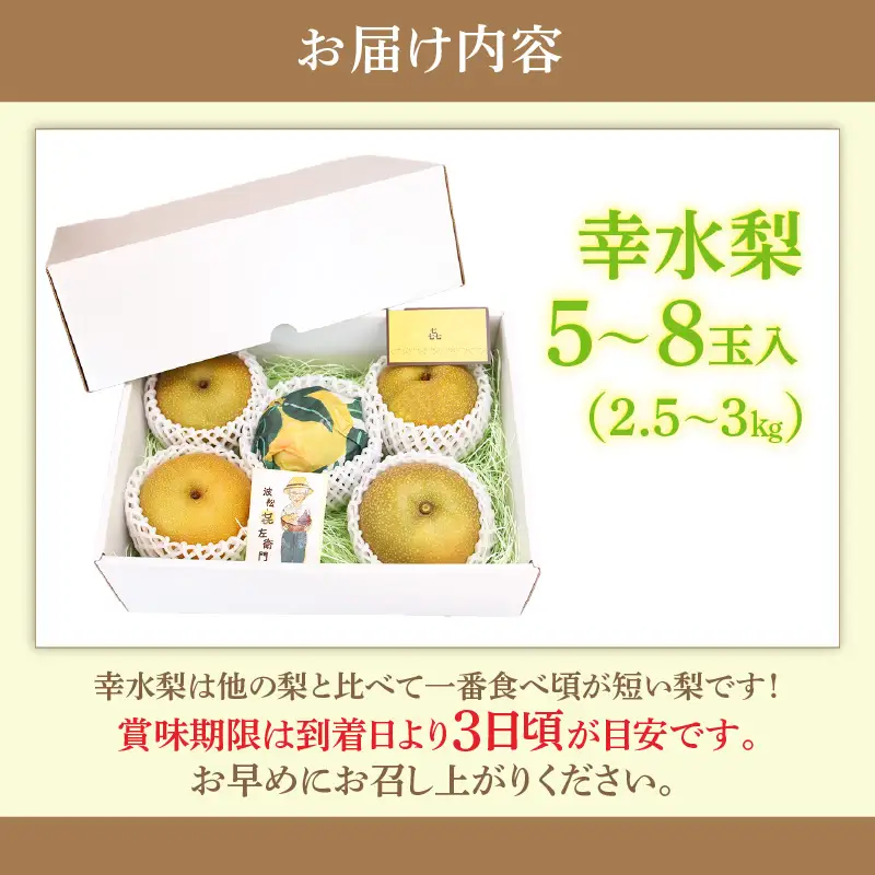 【先行予約】 農業歴70年以上！しづちゃんが作る幸水梨 5～8玉入（2.5～3kg）/ なし 果物 旬 フルーツ 甘い ジューシー 果汁 くだもの シャキシャキ 人気 完熟 もぎたて みずみずしい 越前梨 送料無料 福井 あわら市 ※2026年8月中旬以降順次発送予定 [aw075-a006]