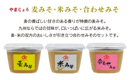 【ふるなびWEEK対象】「１００年以上の歴史」徳山みそ・しょうゆ［味噌・醤油］5個セット【A157】