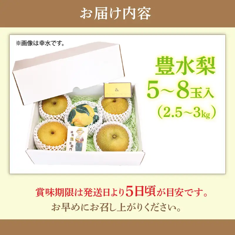 【先行予約】しづちゃんが作る 豊水梨 5～8玉入（2.5～3kg）農業歴70年以上！/ なし 果物 旬 フルーツ 甘い ジューシー 果汁 くだもの シャキシャキ 人気 完熟 もぎたて みずみずしい 越前梨 送料無料 福井 あわら市 ※2026年9月上旬以降順次発送予定 [aw075-a007]