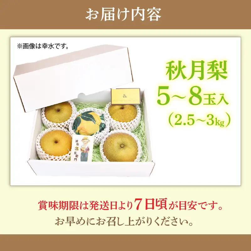 【先行予約】しづちゃんが作る 秋月梨 5～8玉入（2.5～3kg） 農業歴70年以上！ / なし 果物 旬 フルーツ 甘い ジューシー 果汁 くだもの シャキシャキ 人気 完熟 もぎたて みずみずしい 越前梨 送料無料 福井 あわら市 ※2026年9月中旬以降順次発送予定 [aw075-a008]