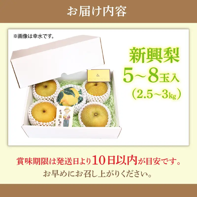 【先行予約】しづちゃんが作る 新興梨 5～8玉入（2.5～3kg）農業歴70年以上！ なし 果物 旬 フルーツ 甘い ジューシー 果汁 くだもの シャキシャキ 人気 完熟 もぎたて みずみずしい 越前梨 送料無料 福井 あわら市 ※2026年10月上旬以降順次発送予定 [aw075-a010]
