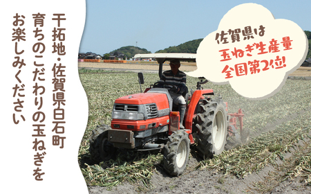 白石玉ねぎ10kg / 玉ねぎ [IBQ009]