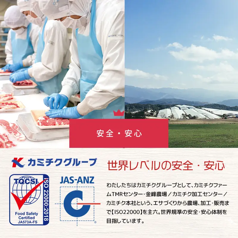 【 人気部位ミスジ！ 】A5等級 黒毛和牛 ミスジ ステーキ 400g K002-045 肉 牛肉 冷凍