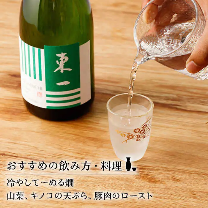 日本酒 東一 日本酒飲み比べ2種 NBQ020 