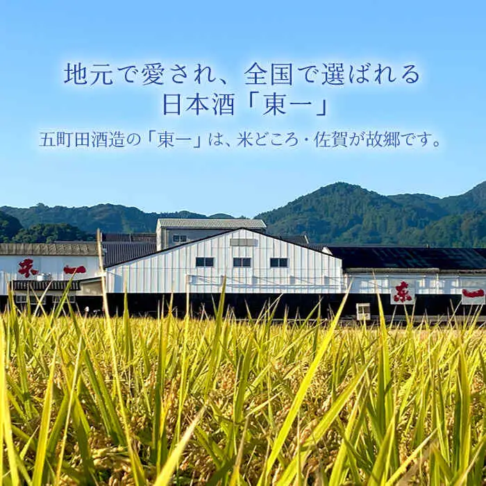 【定期便】 日本酒 東一 山田錦特別純米酒 NBQ115 日本酒 全12回