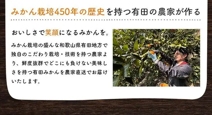 ［先行予約］ご家庭用 完熟 有田みかん 5kg［2026年12月発送予定］訳あり 農家直送［MS31-2］