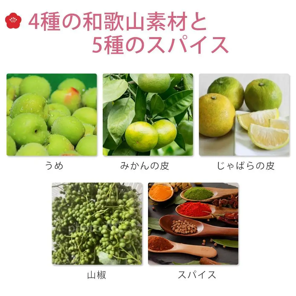 IKORA-行楽- 215g×3本 飲料 ドリンク 食品