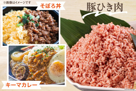 3回 定期便 宮崎県産 豚肉 ３種 セット ひき肉 こま切れ ロース生姜焼き用 小分け 合計5.4kg 各300g×2