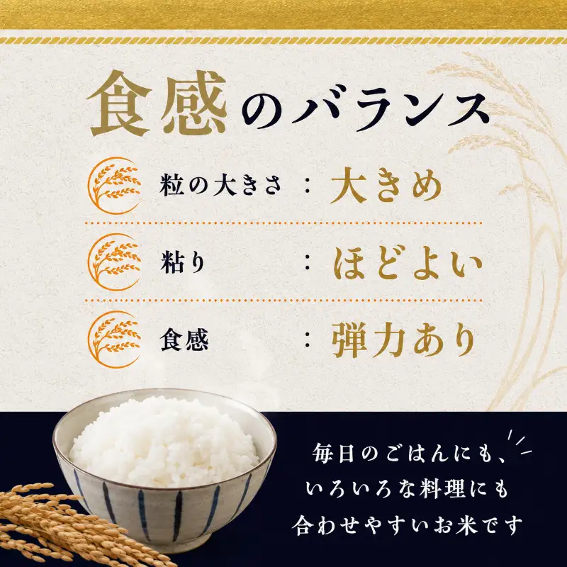 【先行予約・令和8年産】 粒すけ  白米5kg 　【 お米 こめ コメ おこめ 】 