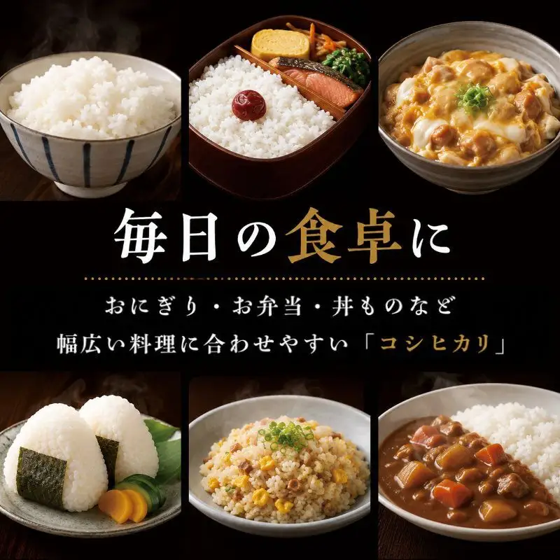 千葉産 コシヒカリ 白米 2kg　【 お米 コシヒカリ 米 白米 2kg 】 