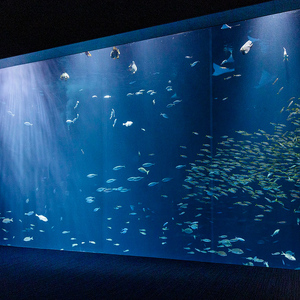 四国水族館 ＜大人＞ペア入館券 FAH-0151