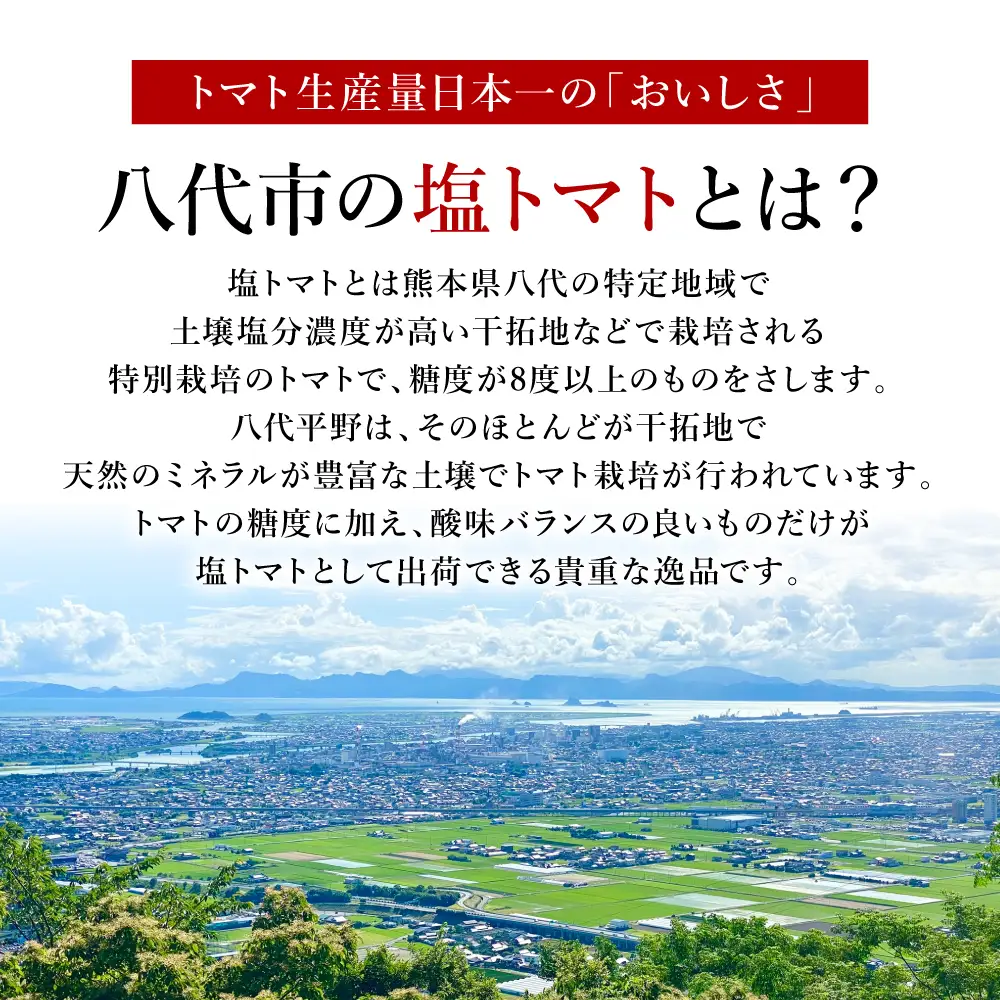 トマト 【先行予約】 くまもと塩トマト 「ロイヤルセレブ」 約1kg 【2027年1月上旬より順次発送】 トマト
