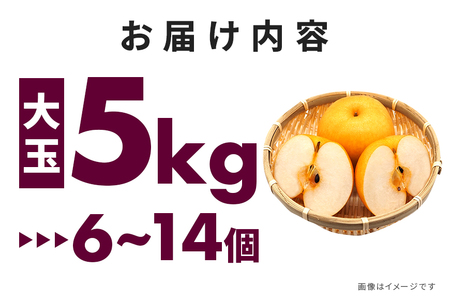 訳あり 新高 梨 5kg 柴沼梨園 BX-008