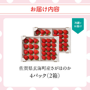 玄海町産いちご さがほのか 4パック ／ さがほのか【B159】