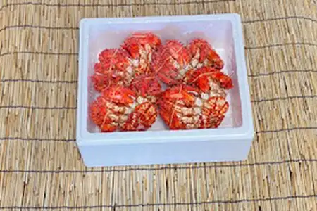 【北海道根室産】花咲かに400g～500g前後×4尾 B-76030