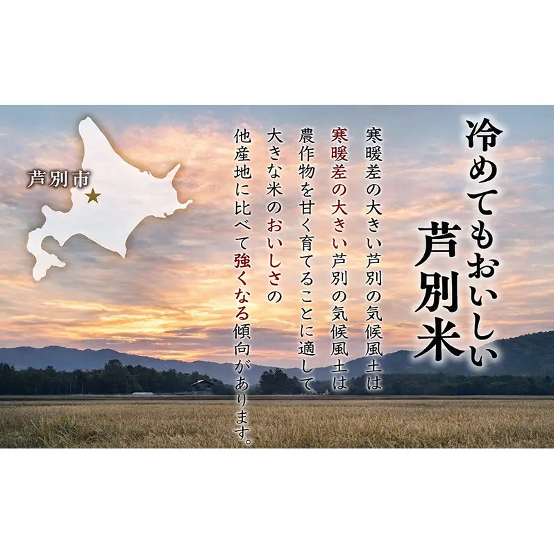 米 精米 白米 令和8年産 10kg 北海道産 北海道米