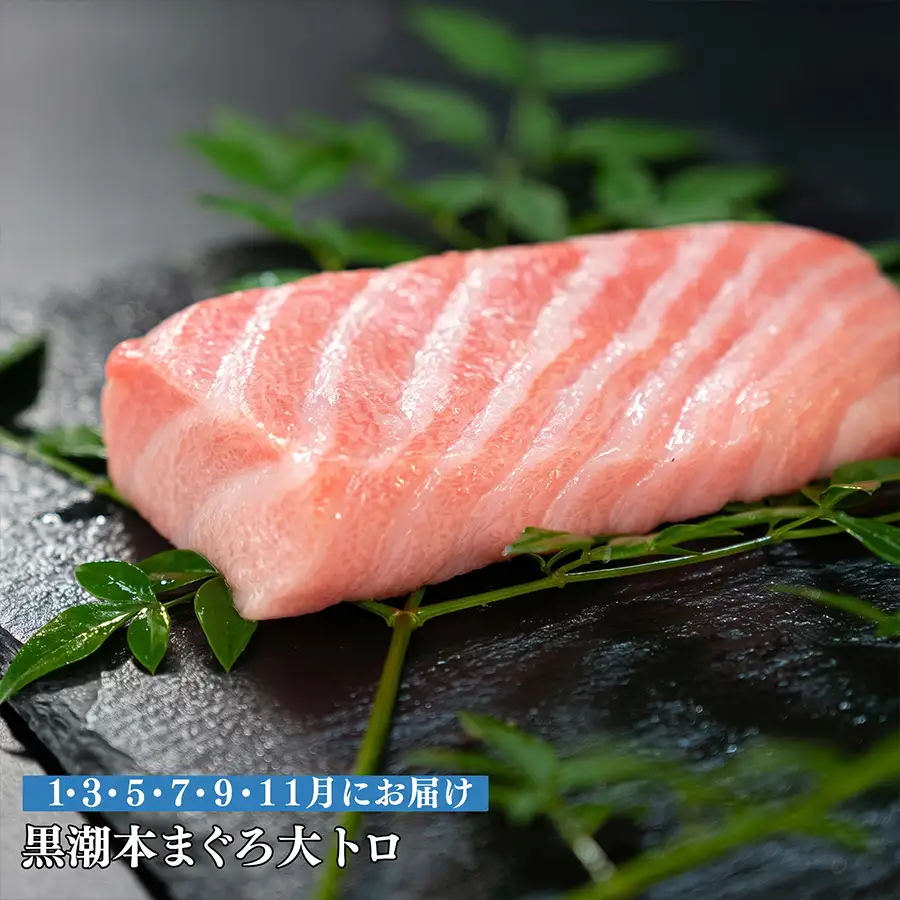 訳あり 不定貫 定期便6回 日本一!黒潮本まぐろ 大トロ (PT0080_0529)