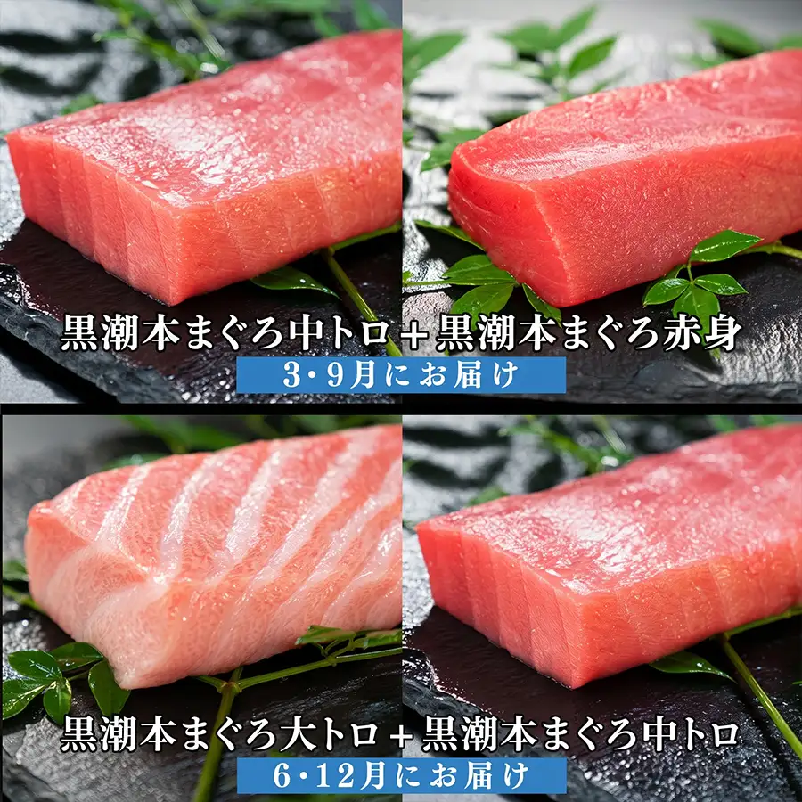 訳あり 不定貫 定期便4回 日本一!黒潮本まぐろ 大トロ・中トロ・赤身(交互) (PT0080_0535)