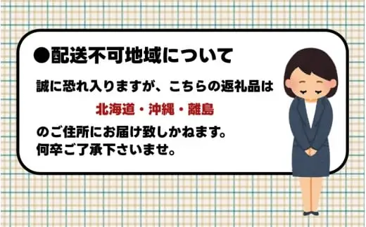  【2月出荷分】和歌山産 ミニトマト「アイコトマト」約1kg（M・Lサイズおまかせ） / トマト 野菜 ※北海道・沖縄・離島地域への配送不可 【tec401-aik-1-feb】