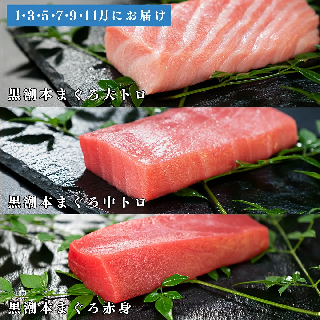 訳あり 不定貫 定期便6回 日本一!黒潮本まぐろ 大トロ・中トロ・赤身 3種セット (PT0080_0538)