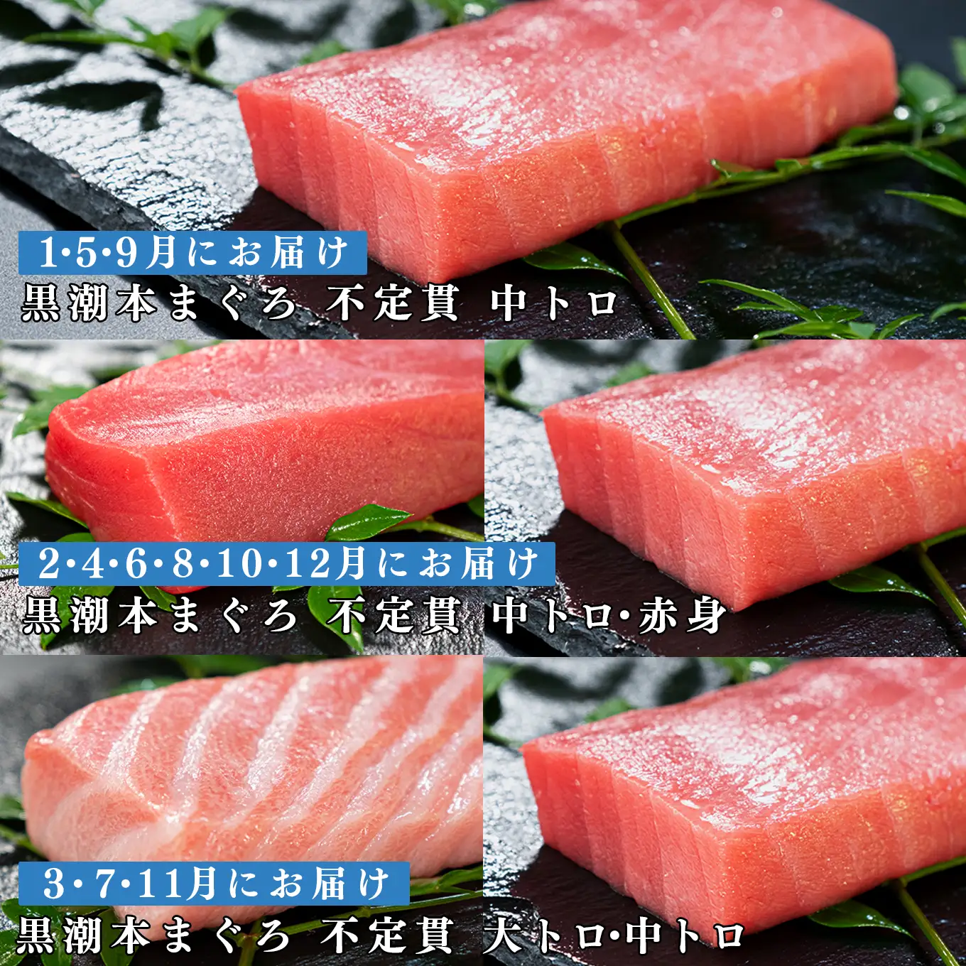 訳あり 不定貫 定期便12回 日本一!黒潮本まぐろ 大トロ・中トロ・赤身 3種セット (PT0080_0539)