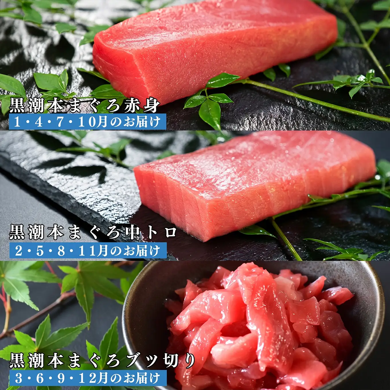 訳あり 不定貫 定期便12回 日本一!黒潮本まぐろ 中トロ・赤身・ブツ切り（3種交互） (PT0080_0543)