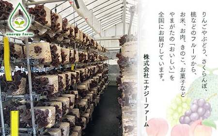 《先行予約》令和8年産 山形県産米 5kg 食べ比べ定期便（全3回） 精米 米 お米 おこめ 山形県 新庄市 F3S-2991