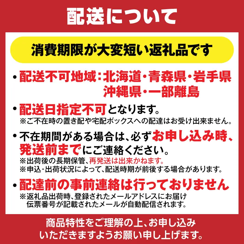 《期間限定》 ペチカほのか 300g（12～24粒）×2パック いちご イチゴ 18-06