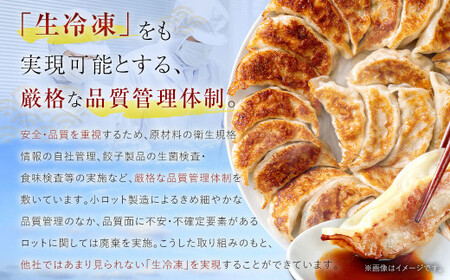 訳あり！ちょっと大きめ 国産 生餃子 (ラー麦使用)  100個 2kg ＆ 辛子明太子 小切り 300g セット ぎょうざ ギョウザ めんたいこ 冷凍