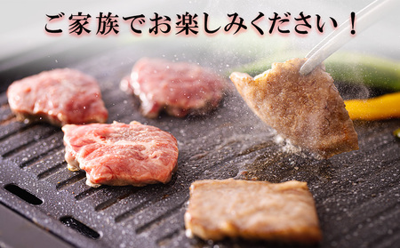 牛肉 3回 定期便 宮崎県産 焼肉 セット 黒毛和牛カルビ 豚バラ 若鶏モモ 各 300g 計 1.2kg ×3回
