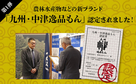 【寄附使途限定】【12ヶ月定期便】九州米・食味コンクール最優秀賞受賞 大分県中津産やまくに誉 つや姫 5kg×1袋 (毎月1回)  | お米 米 おこめ こめ 精米 白米 5キロ ご飯 九州産 国産 国産米 大分県米 九州米 定期 定期便 12回定期便 大分県 中津市