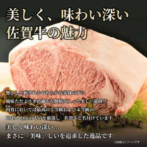 訳あり！佐賀牛サーロインステーキ　5kg（250ｇ２枚入り×10ｐ） J753
