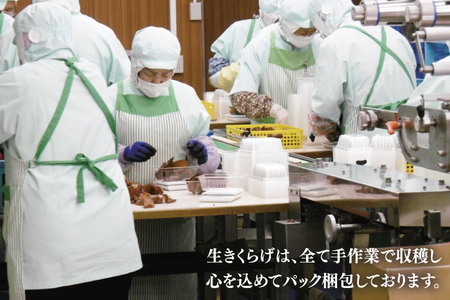 きくらげ 国産 1.8kg 農薬不使用 きくらげ 