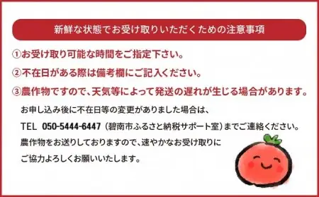 【2027年度予約分】【お試し】幻のミニトマト トマトベリー約800g 長田農園 野菜ソムリエサミット 金賞 受賞 産地直送 トマト とまと 野菜 やさい フルーツ サラダ 濃厚 甘い ご褒美 プレゼント 美容 健康 リピート多数 人気 高評価 先行受付 数量限定 碧南市 H004-177