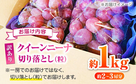 【2026年発送先行予約】訳あり クイーンニーナ ぶどう 切り落とし 約1kg  【合同会社 社方園】 赤ぶどう 1kg 家庭用 葡萄 訳ありクイーンニーナ  [ZBZ008]