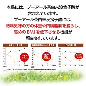 【定期便2か月】国産プーアール茶　SARYU-SOSO（5g×10ティーバッグ）×2回　＜機能性表示食品＞