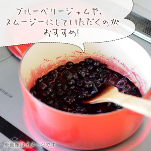 冷凍 ブルーベリー 約1.2kg 300g×4パック 小分け 便利 しげこさんのブルーベリー 甘い 大粒 ジャム お菓子 スイーツ デザート アイス 果物 フルーツ ブルーベリージャム 無農薬 化学肥料不使用 岐阜県 東白川村産 産地直送 大容量