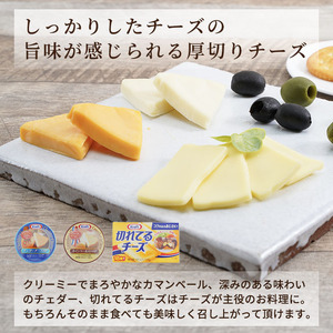 チーズ 定期便 3ヶ月 10個 詰め合わせ セット チーズ