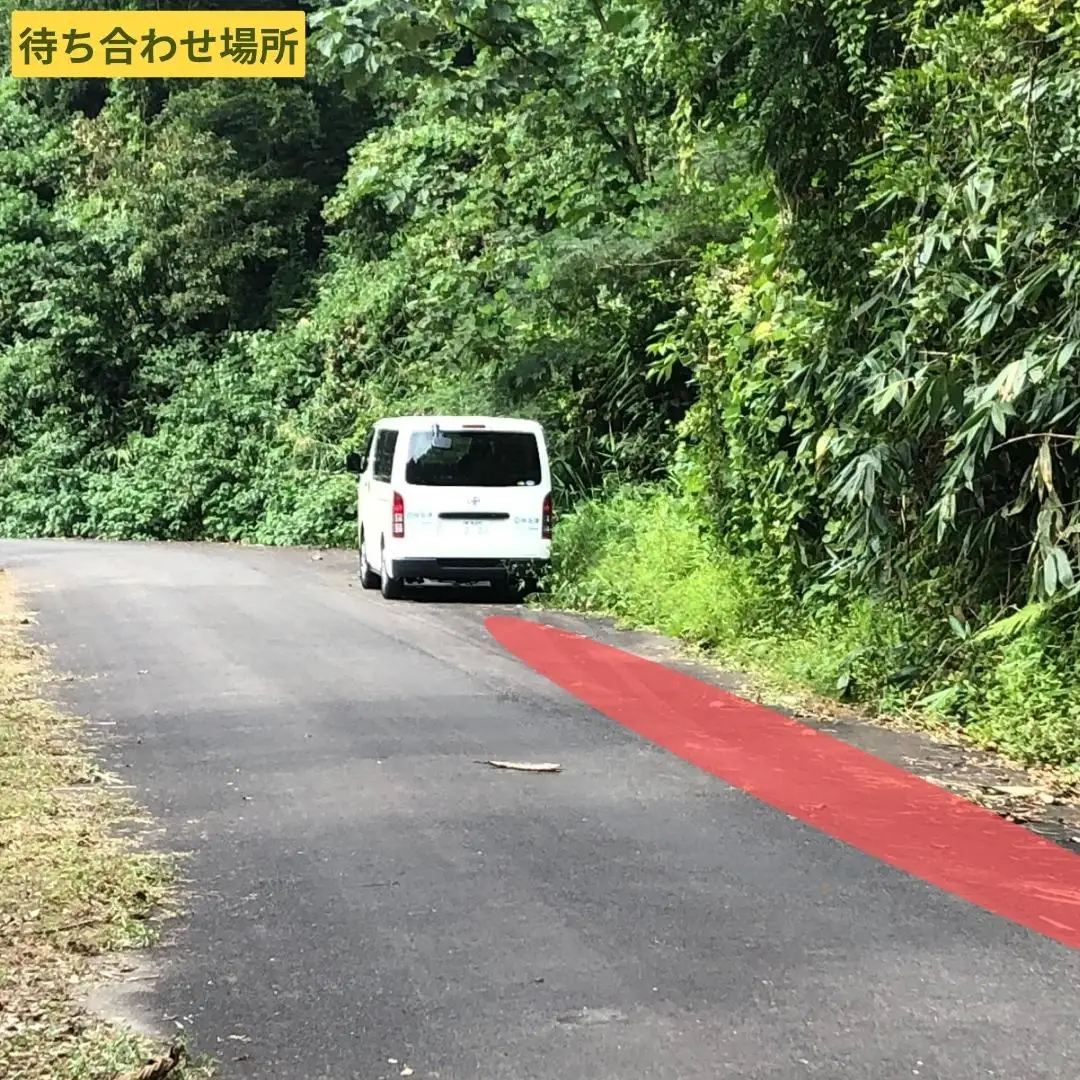剣謙心バギーツアー45分　1人乗り用（18歳以上）【011S122】