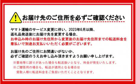 【先行予約】＼ みかんの名産地 和歌山県産／ 農家直送 大玉 有田 みかん 5kg （2L～3L）/ ミカン 果物 フルーツ 柑橘 ※2026年11月下旬～2027年1月中旬頃発送予定 【hdm004-l-5】