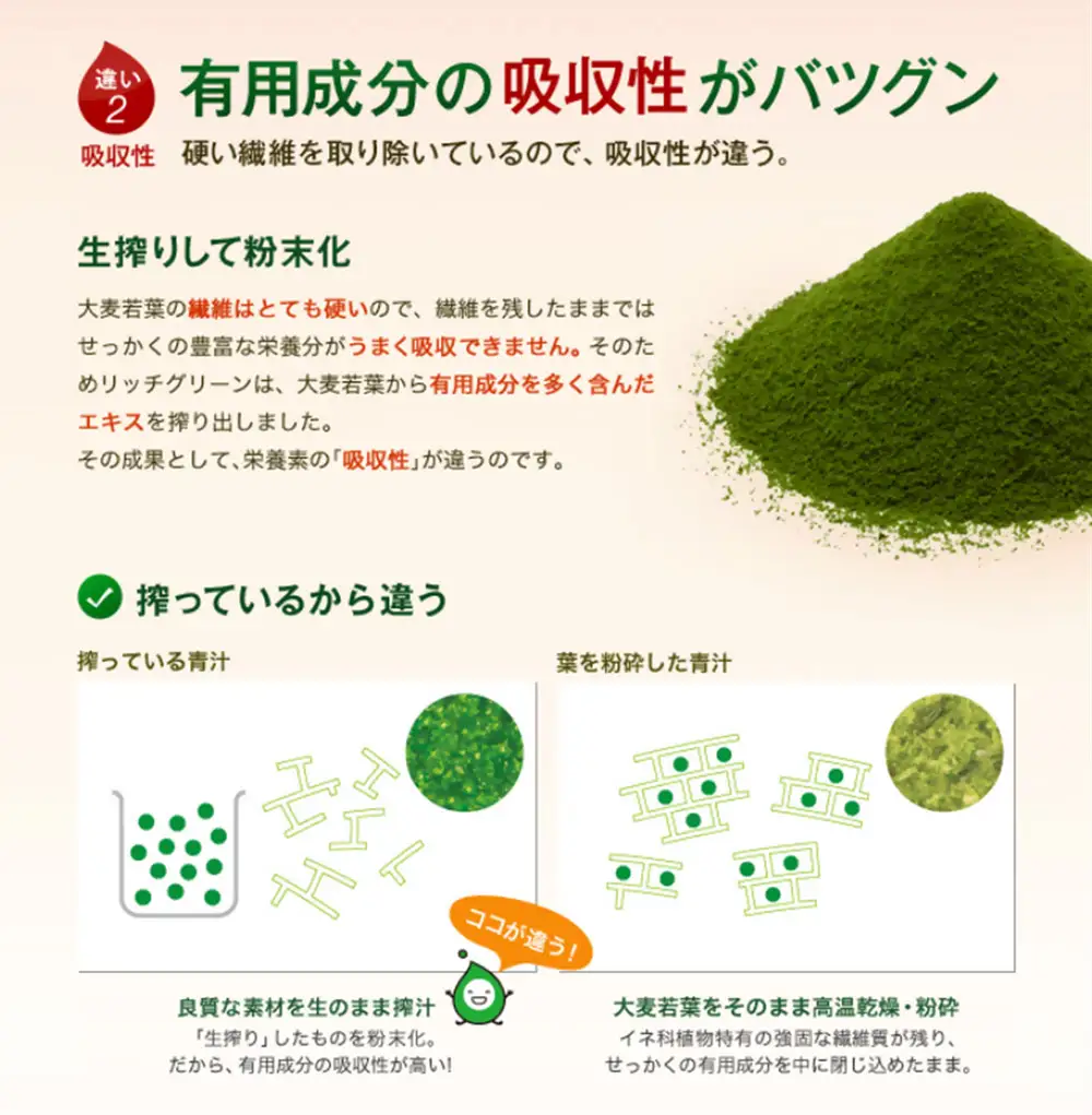 リッチグリーン(計270g・3g×30スティック×3個)青汁 スムージー 大麦若葉 飲料 粉末 常温【103100500】【ケンプリア】