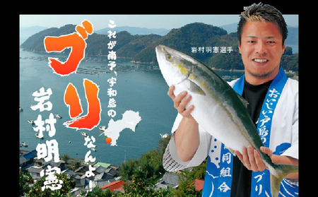 鰤しゃぶ 戸島ぶり しゃぶしゃぶセット 450g 3人前 有限会社 アクアプラス しゃぶしゃぶ D022-090001