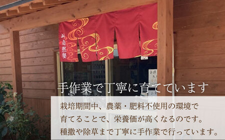 香り高い！ 紫にんにく 1kg 野菜 薬味 ニンニク 【浅田峠自然塾】[EA17] にんにく 紫 ニンニク