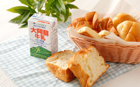 【6ヶ月定期便】大阿蘇 牛乳 250ml×24本×6回 合計36L 紙パック ミルク 成分無調整 