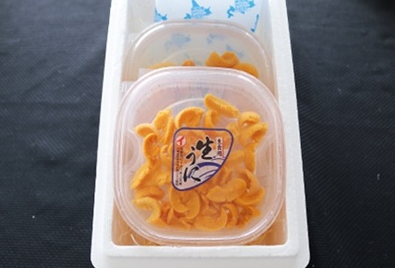 エゾバフンウニ塩水パック70g×2P[11月中旬以降発送] B-53014