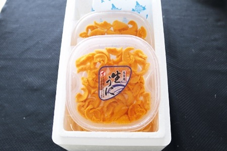 エゾバフンウニ塩水パック100g×2P[11月中旬以降発送] C-53023