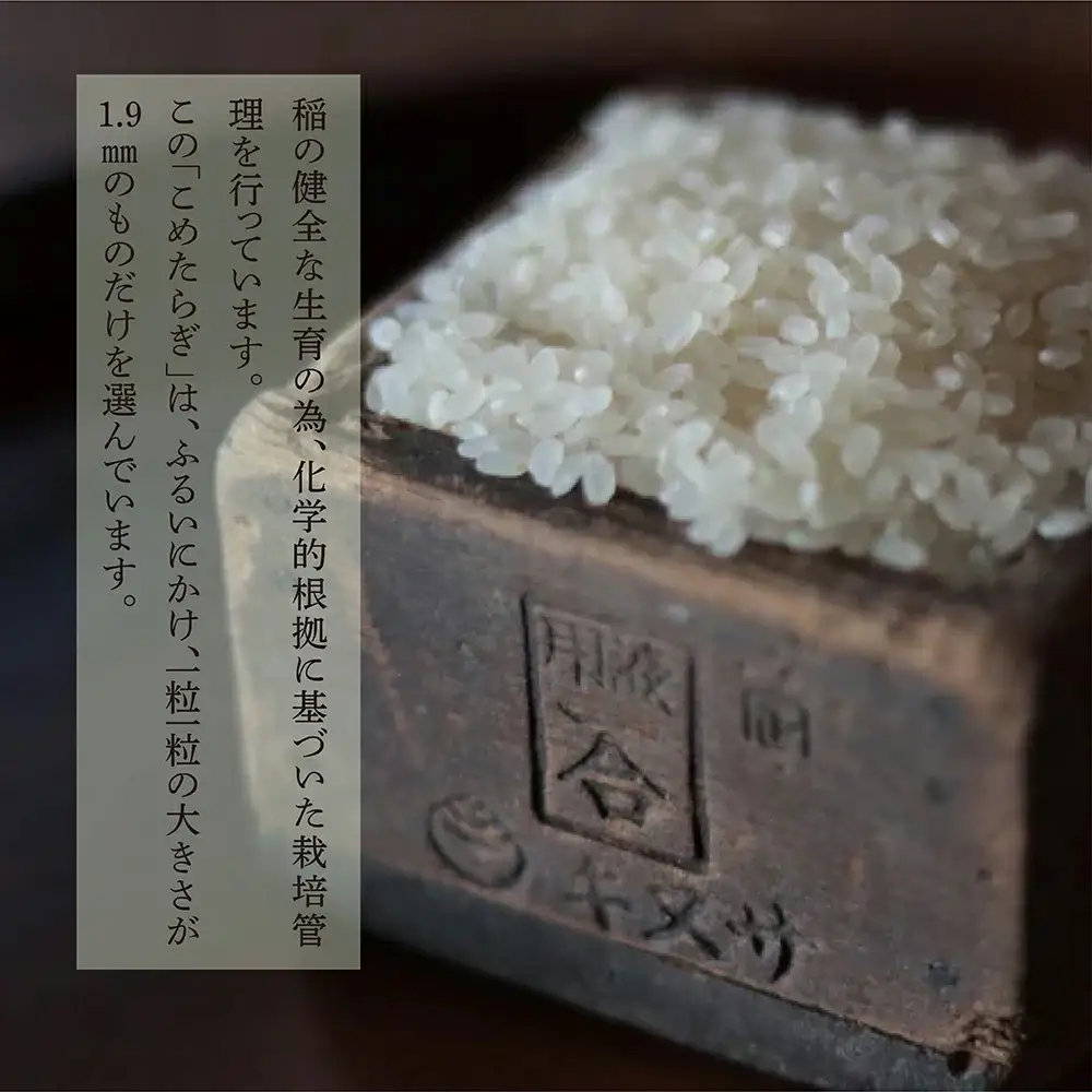 【令和7年産米】受賞米 こめたらぎ にこまる 精米 10kg (5kg×2袋) 米 お米 10月中旬～発送 グランプリ受賞 白米 精米 ご飯 こめらたぎ にこまる 名産地 多良木町産 ふっくら 044-0507-a